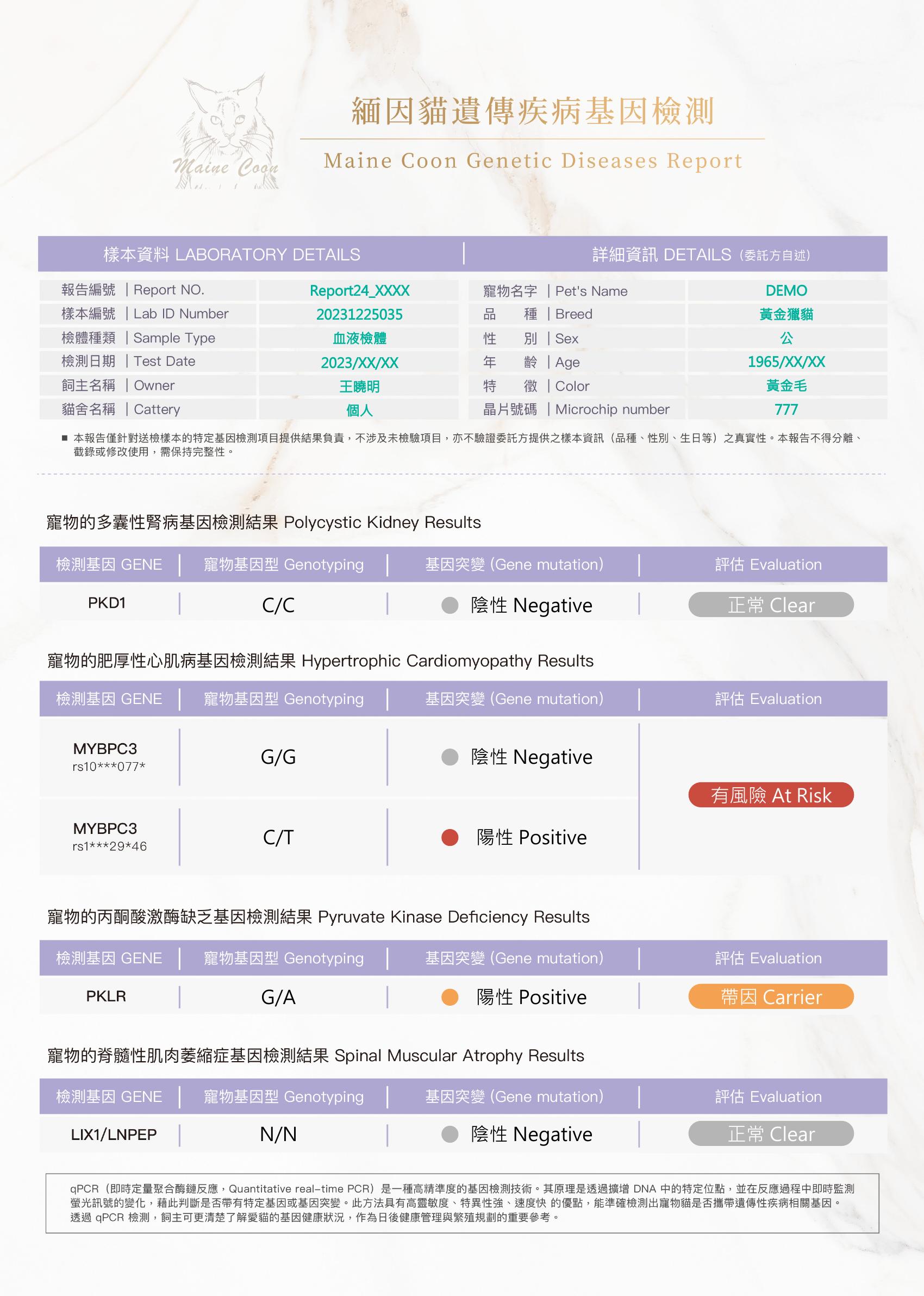 緬因貓遺傳疾病基因檢測報告
