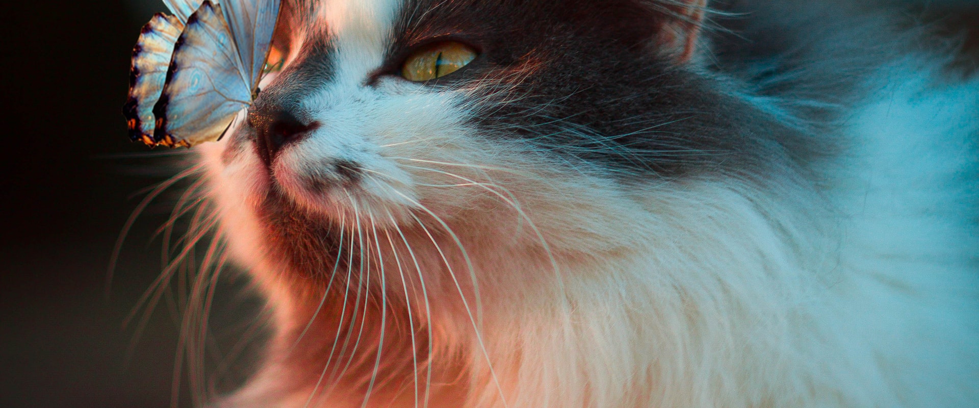 讓科技成為愛的力量